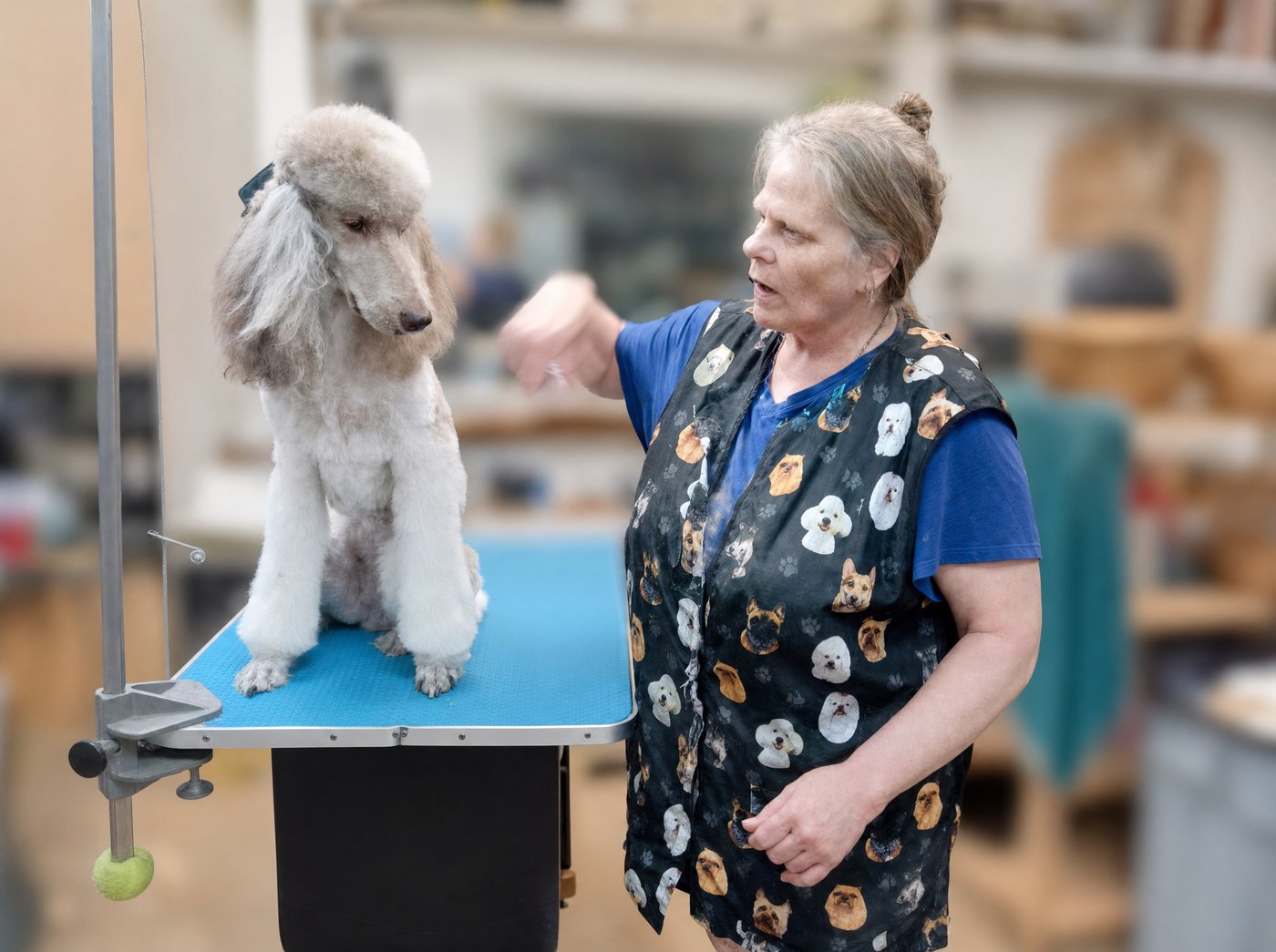 Carol with a freshly groomed poodle